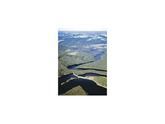 El Gobierno brasileño anunció que la deforestación en el Amazonas cayó a su mínimo histórico.