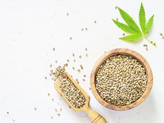 hemp-SEMILLAS TAPA.jpg