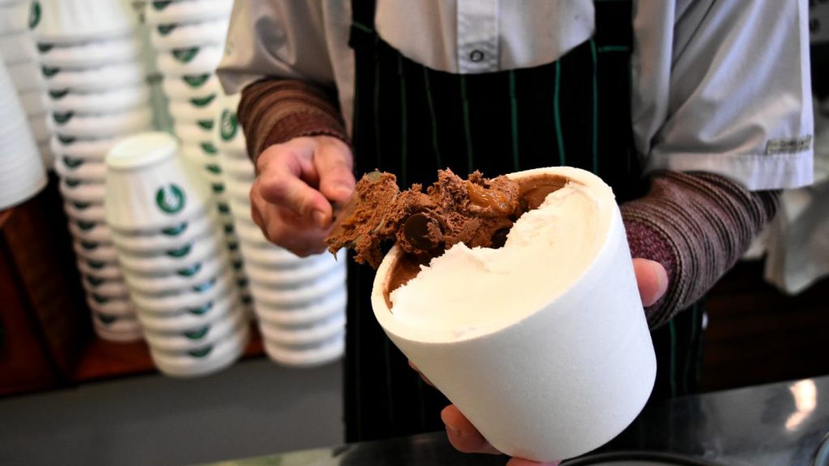 Do not throw the ice cream pot: with this step by step you can turn it into a pot for your plants