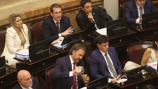 El bloque de senadores libertarios busca garantizarse otras dos nuevas leyes.