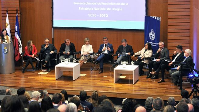 Los detalles sobre la estrategia que planteó el Gobierno.