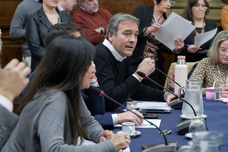 Martín Soria en el debate del plenario de la Comisión de Legislación Penal y de Seguridad Interior. Martín Soria en el debate del plenario de la Comisión de Legislación Penal y de Seguridad Interior.