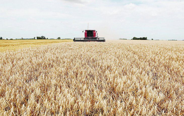 ¿se atrasa el ingreso de los agrodolares?