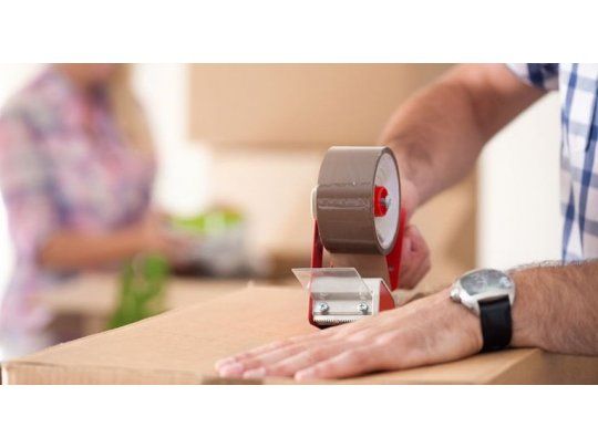Cada caja puede costar $ 96. Una docena, $ 750