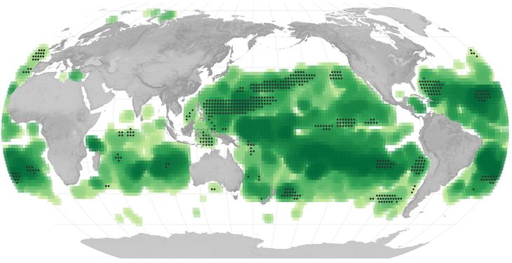 Se resaltan las áreas donde el color de la superficie del océano cambió entre 2002 y 2022, con tonos más oscuros de verde que representan diferencias más significativas. Se resaltan las áreas donde el color de la superficie del océano cambió entre 2002 y 2022, con tonos más oscuros de verde que representan diferencias más significativas.
