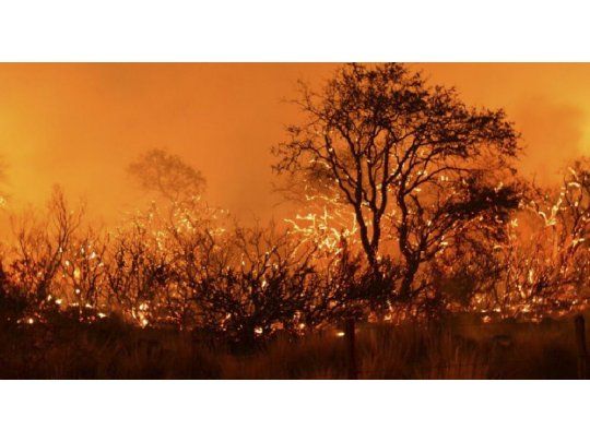 Incendios en La Pampa consumieron ya cerca de 800 mil hectáreas