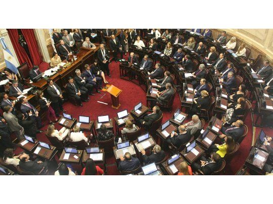 La jura en el Senado (Foto: Ignacio Petunchi)