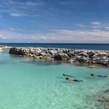 Las playas paradisíacas del Caribe atraen a los turistas para sus vacaciones.  Las playas paradisíacas del Caribe atraen a los turistas para sus vacaciones.