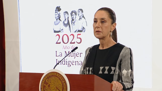 SHEINBAUM 13 MAYO.png