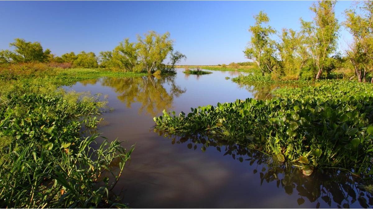 A National Park with historical value is born and close to CABA: where is it located
