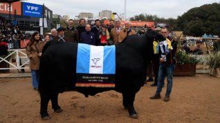 Morocho es el mejor Barangus del mundo.