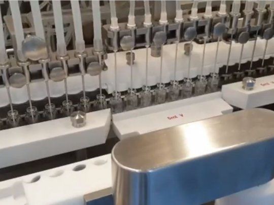 El país tiene la capacidad para fabricar la vacuna rusa, dijo el ministro de Ciencia, Tecnología e Innovación, Roberto Salvarezza.