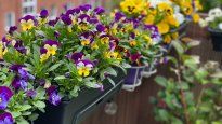 Con materiales reciclados, podés crear centros de mesa y jardines verticales que renuevan cualquier espacio de la casa.