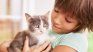 Cat Day is the best excuse to give you what your pet like the most. 