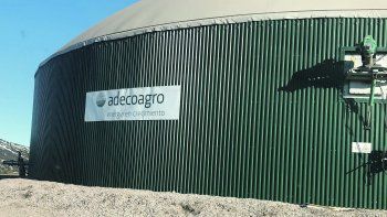 Adecoagro no solo es un gigante agroindustrial en Sudamérica sino también que hace foco en la sustentabilidad de sus procesos.&nbsp;