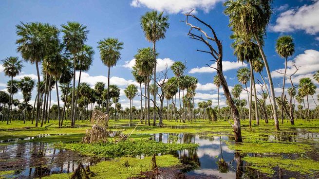 Este humedal ofrece un contacto directo con la naturaleza y una biodiversidad fascinante.