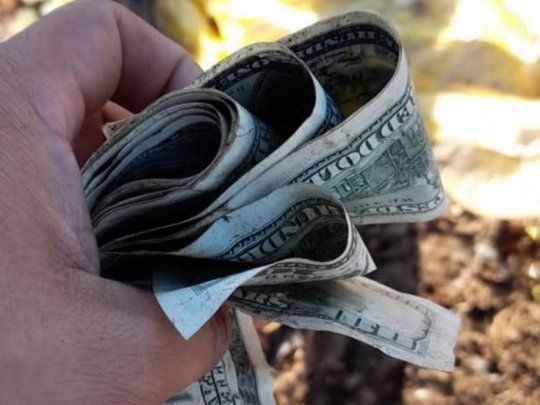 encontraron billetes en un basural (1).jpg