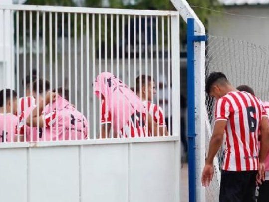 abejas santiago.jpg