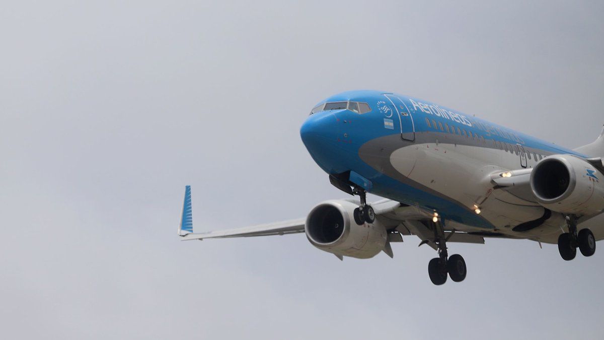 Airlines: they warn that with an operating deficit of 22% and negative equity of US0 million, its privatization “is unviable”