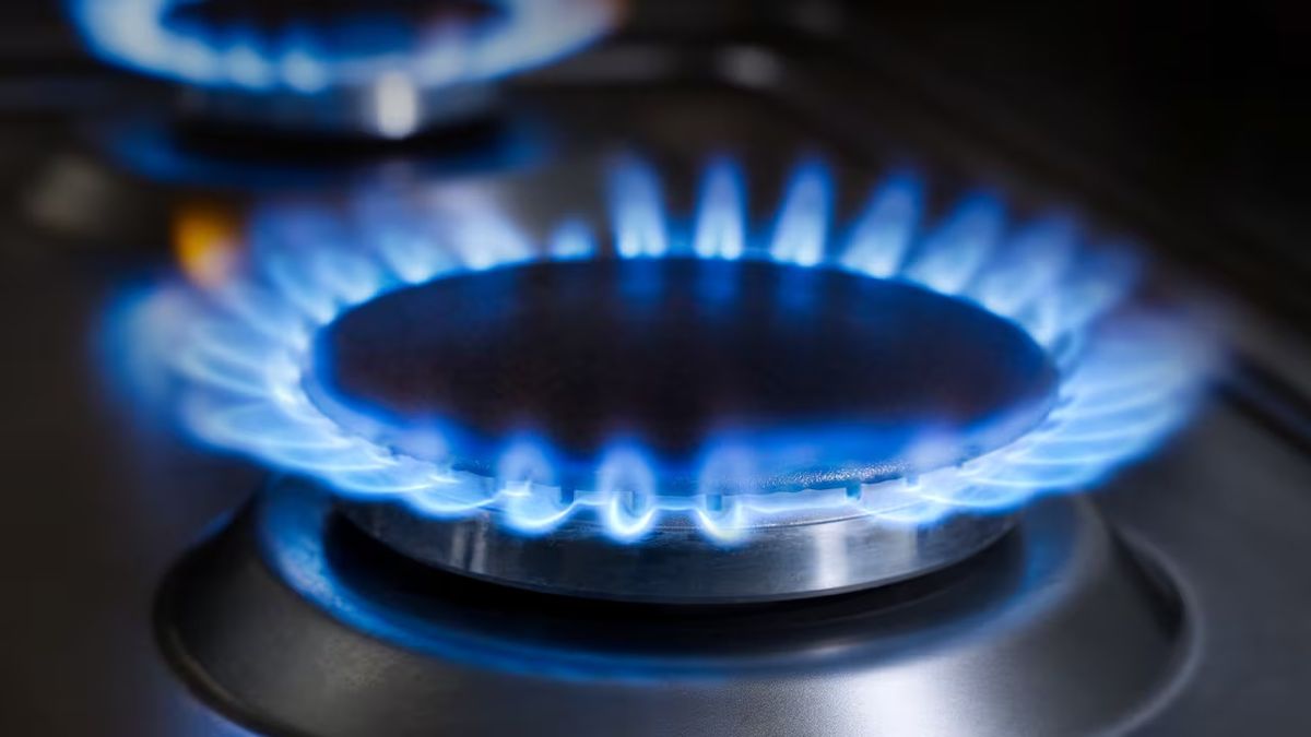 The gas union has warned the government and assured that it is barely surviving