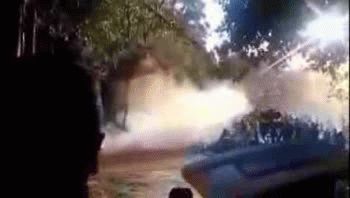 Australiano halló una serpiente y 15 huevos bajo su heladera