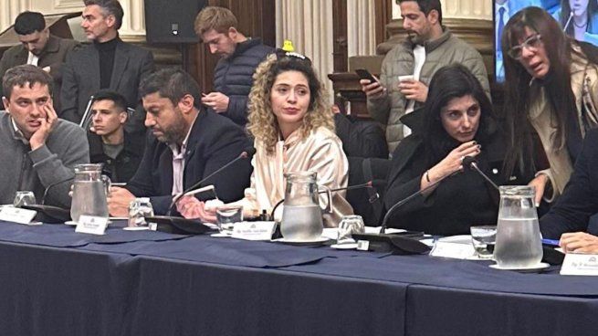 La diputada Lourdes Arrieta dijo que no sabía quién era Astiz porque nació en 1993. 