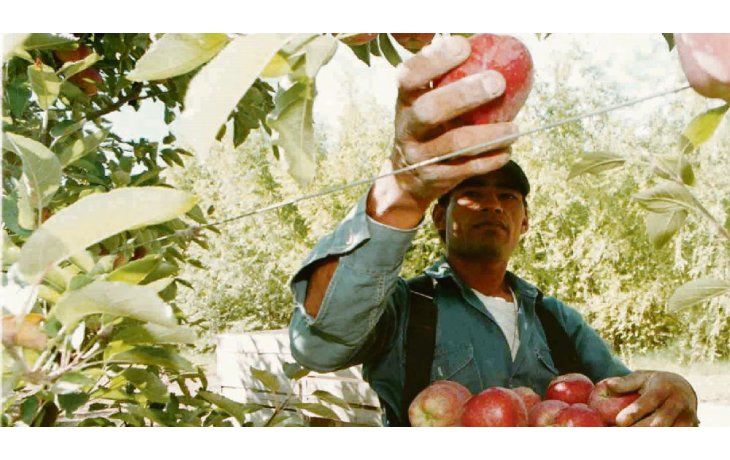 De mal en peor. En el sector de peras y manzanas la situación continúa muy complicada, con rentabilidad nula y productores que abandonan la actividad.