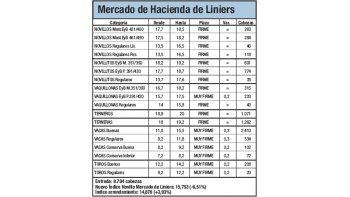 El Índice Novillo cayó un 6,5%
