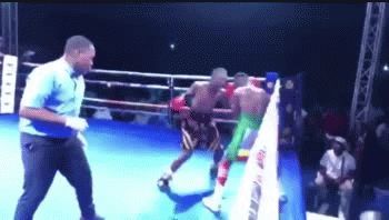 Boxeo: un salvaje nocaut despertó una gran polémica