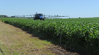 Uruguay depende de las próximas lluvias para determinar el rendimiento de sus cultivos. 