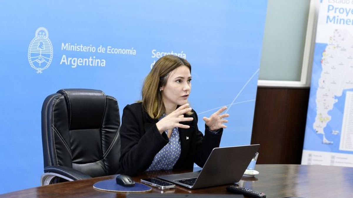 Wink from the United States to Argentina to increase the lithium trade fivefold
