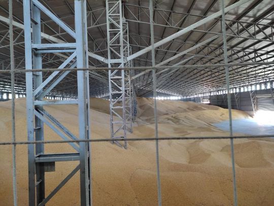 Evasión en el campo: la AFIP decomisó 8.100 toneladas ilegales de maíz y  502 de soja