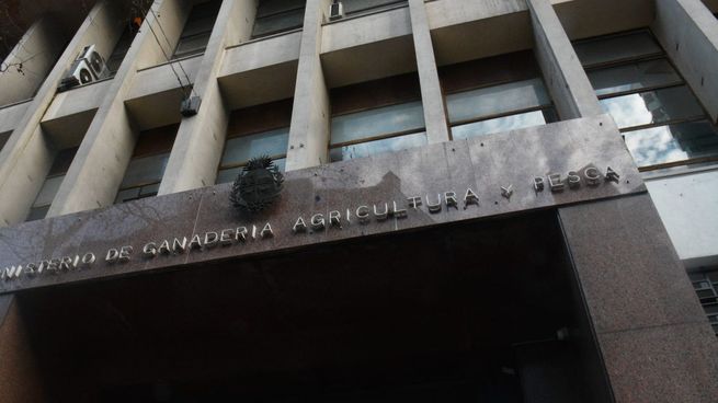 El MGAP estima una recaudación impositiva de $312,1 millones de dólares.&nbsp;