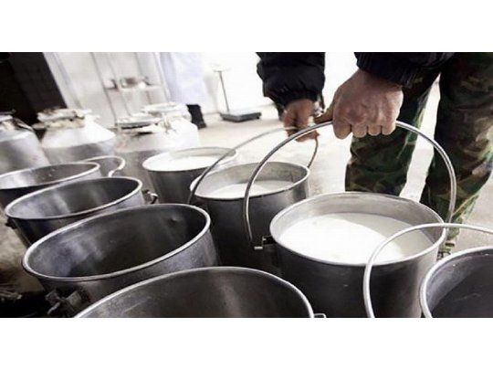 Tamberos regalarán miles de litros de leche en Plaza de Mayo