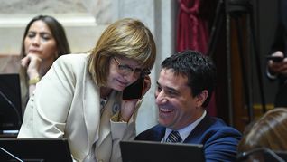 ámbito.com | Abad Bullrich Senado