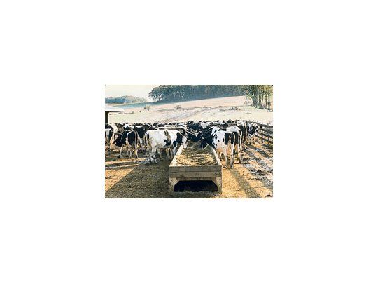 La lechería atraviesa una situación crítica. Según Guillermo Giannasi de FAA, «hay una parte del precio que los productores no están recibiendo y lo notan».