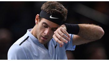 Del Potro cayó ante Isner.