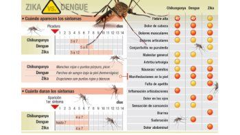Zika vs Dengue