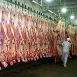 Argentina exportó 453.860 toneladas de carne a China entre enero y noviembre de 2025, cerca del límite que fijará la nueva regulación. Argentina exportó 453.860 toneladas de carne a China entre enero y noviembre de 2025, cerca del límite que fijará la nueva regulación.