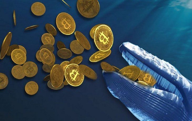 Ripple alcanzó un nuevo hito: ya son más de 2.700 las direcciones que acumulan al menos un millón de unidades.