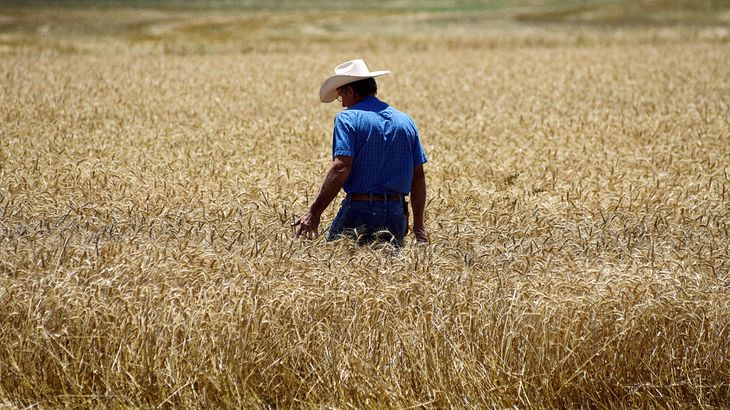 Farmers the most affected by tariff measures