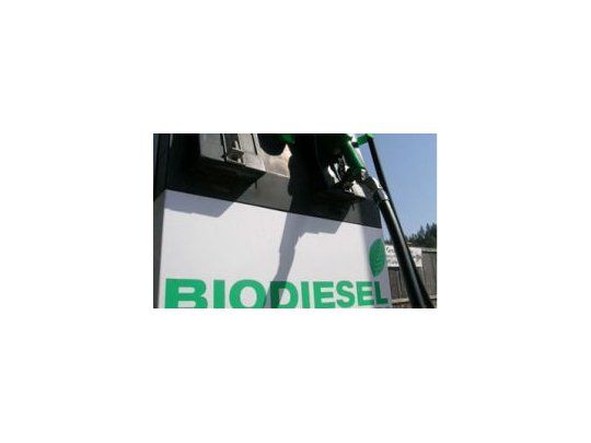 La Comisión Europea propone limitar el uso de biocombustibles