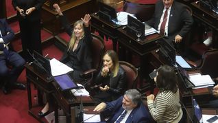 Presentaron un proyecto para repatriar fondos de funcionarios declarados en el exterior.