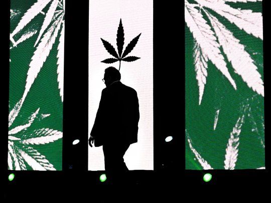 Matáis Kulfas desea impulsar la industria del cannabis&nbsp;