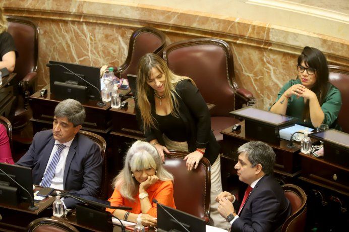 Juliana Di Tullio Senadora de Argentina Senado FMI