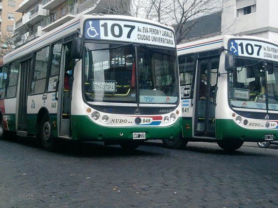 colectivos