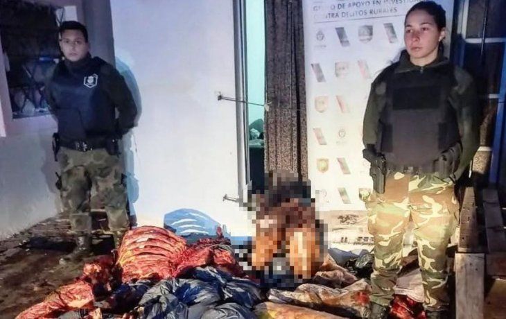 Macabro: desarticularon un matadero clandestino que vendía hamburguesas de caballo