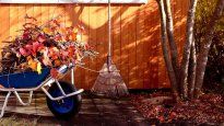 Se viene una época delicada en la jardinería del hogar y te contamos cómo cuidar tus plantas.