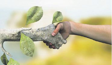 Empresas y recursos naturales (foto 1)