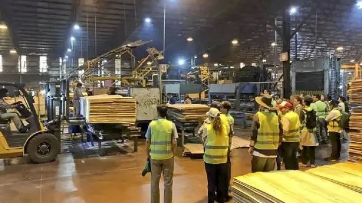 La caída en la construcción y la apertura de importaciones complican el negocio de la forestadora correntina. La caída en la construcción y la apertura de importaciones complican el negocio de la forestadora correntina.